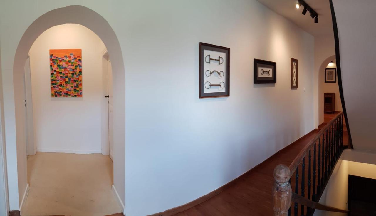 B&B At Haras Petit-Hallet Hannut エクステリア 写真
